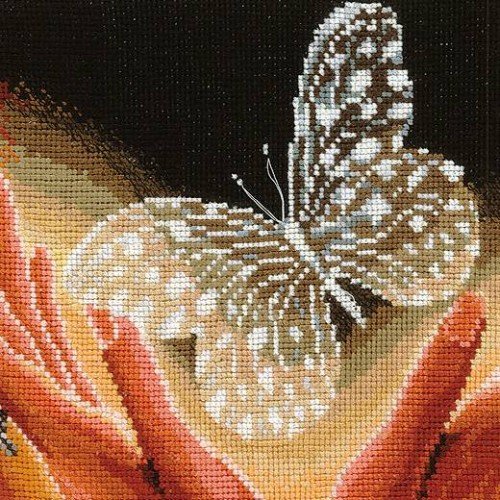 Andriana - Chrystal butterfly