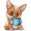 Andriana - Coffee lovers. Corgi