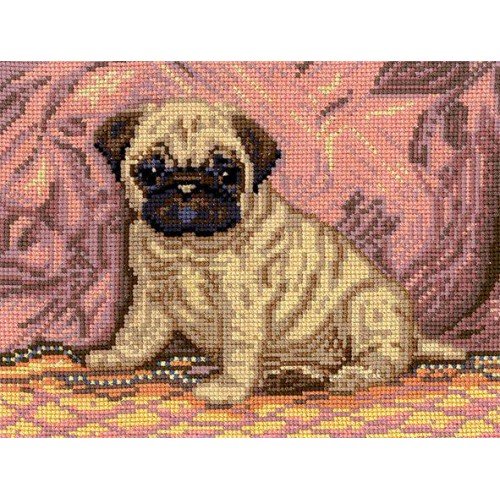 Andriana - Pug