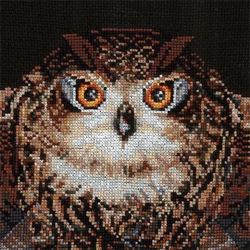 Andriana - Owl