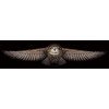 Andriana - Owl