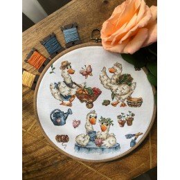 Andriana - Sampler. Goose-summer resident