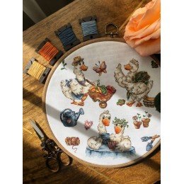 Andriana - Sampler. Goose-summer resident