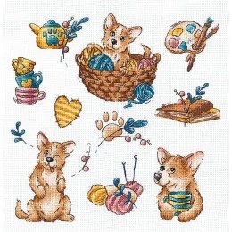 Andriana - Sampler. Corgi