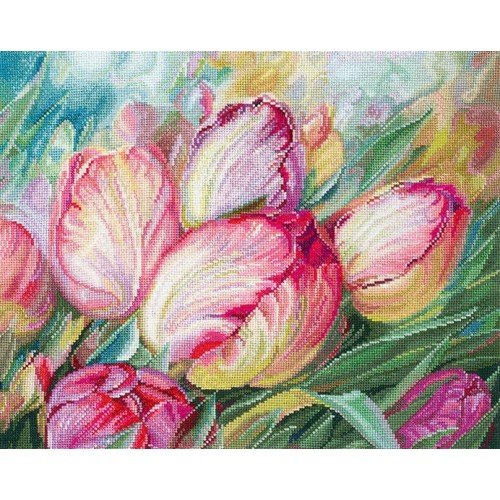 Andriana - Tulips