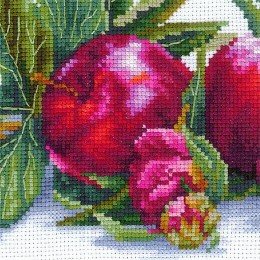 Andriana - Apples and peonies