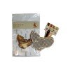 Kind Fox - Leopard shoes