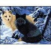 Printed tapestry canvas - Foxes