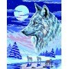 Printed tapestry canvas - The Wolf Spirit