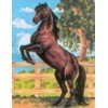 Printed tapestry canvas - Black Stallion
