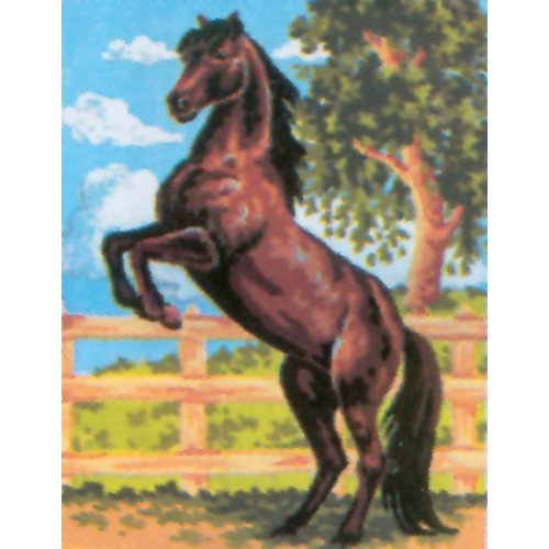 Printed tapestry canvas - Black Stallion
