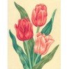 Cañamazo estampado - Tulipanes