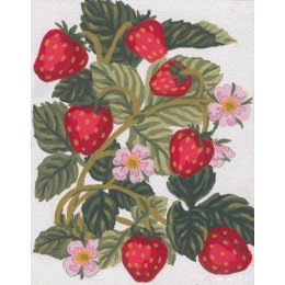 Printed tapestry canvas - Strawberries
