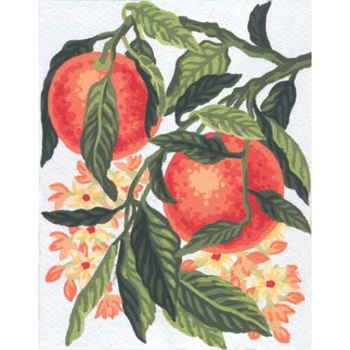 Cañamazo estampado - Naranjas