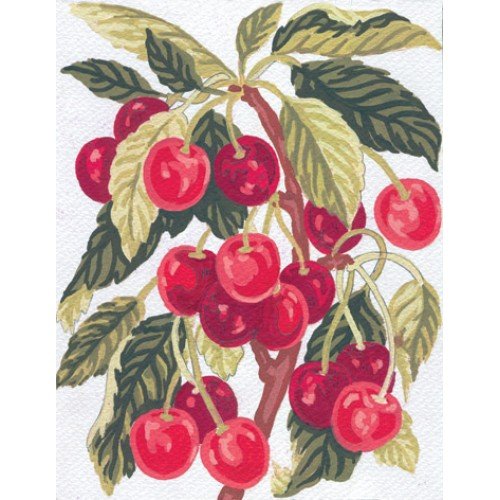 Cañamazo estampado - Cerezas