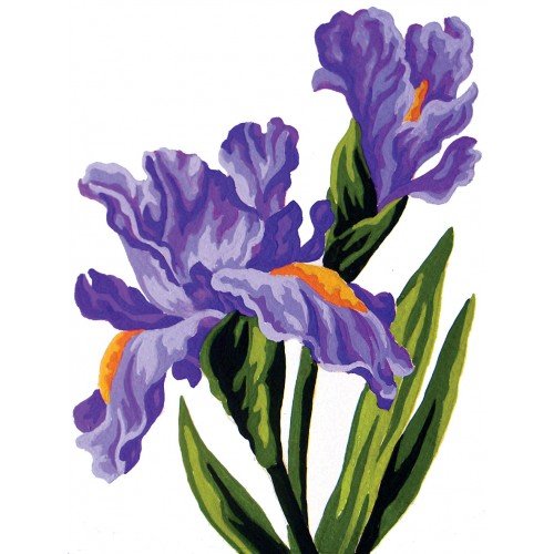 Cañamazo estampado - Iris