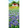Cañamazo estampado - Campo de iris
