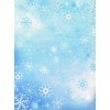 Patterned Aida canvas KD-080