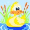 Collection D'Art - Duck