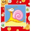 Collection D`Art - Caracol rosa