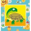 Collection D'Art - Tortoise