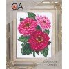 Collection D'Art - Zinnias
