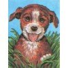Collection D`Art - Cachorro