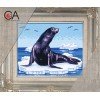 Collection D`Art - Foca sobre hielo
