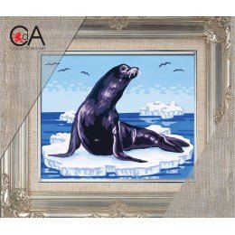 Collection D'Art - Seal on Ice