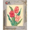 Collection D'Art - Tulips