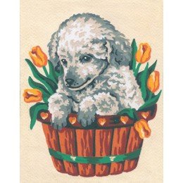 Collection D`Art - Cachorro en tulipanes