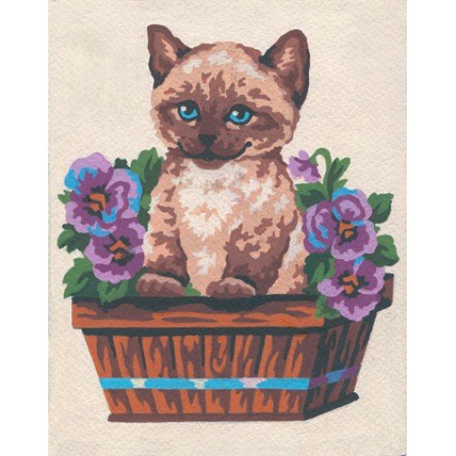 Collection D'Art - Kitten & Butterfly