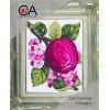 Collection D'Art - Apple