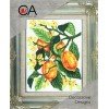 Collection D`Art - Limones