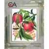 Collection D'Art - Oranges