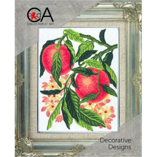 Collection D'Art - Oranges