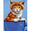 Collection D`Art - Gatito pelirrojo