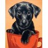 Collection D`Art - Cachorro negro