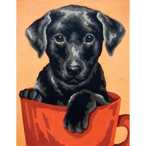 Collection D`Art - Cachorro negro