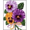 Collection D`Art - Flores