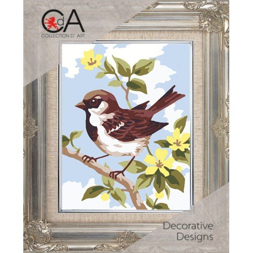 Collection D`Art - Chochín pardo