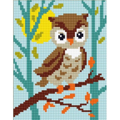 Collection D'Art - Owlet