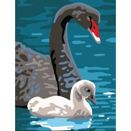 Collection D`Art - Cisnes