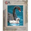 Collection D`Art - Cisnes