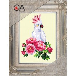 Collection D'Art - White parrot