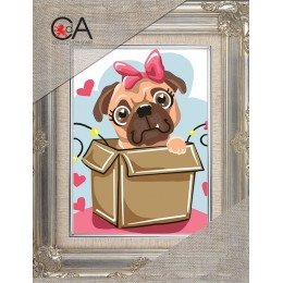 Collection D`Art - Dulce sorpresa