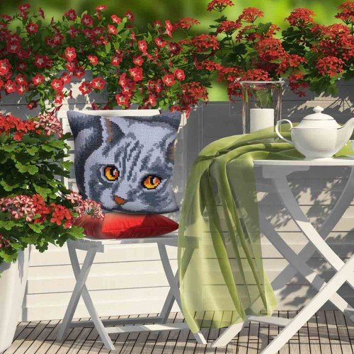 Collection D`Art - Persa - Gato