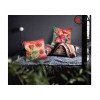 Collection D`Art - Cactus al atardecer