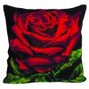 Collection D`Art - Rosa Roja