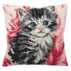 Collection D'Art - Mistigri - Cat